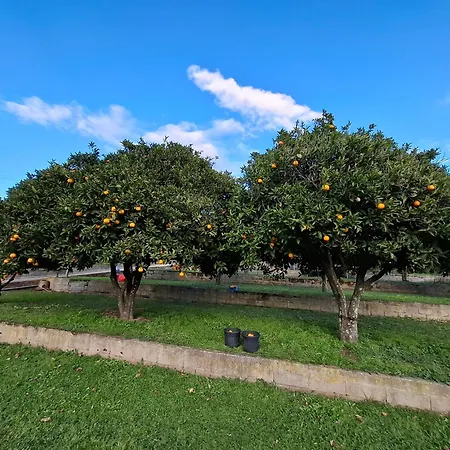 F2 Les Figuiers Proche Ajaccio * Sarrola-Carcopino