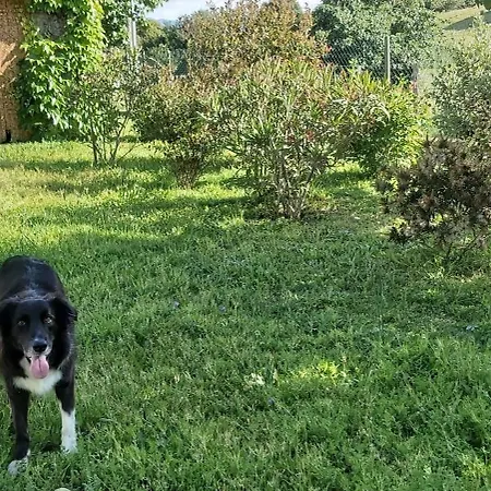 F2 Les Figuiers Proche Ajaccio Apartmán