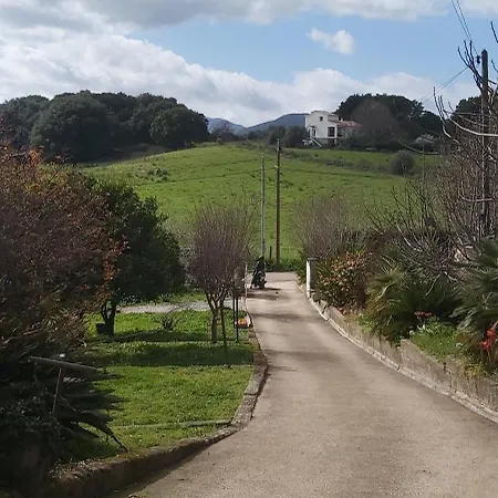 Apartment F2 Les Figuiers Proche Ajaccio Sarrola-Carcopino