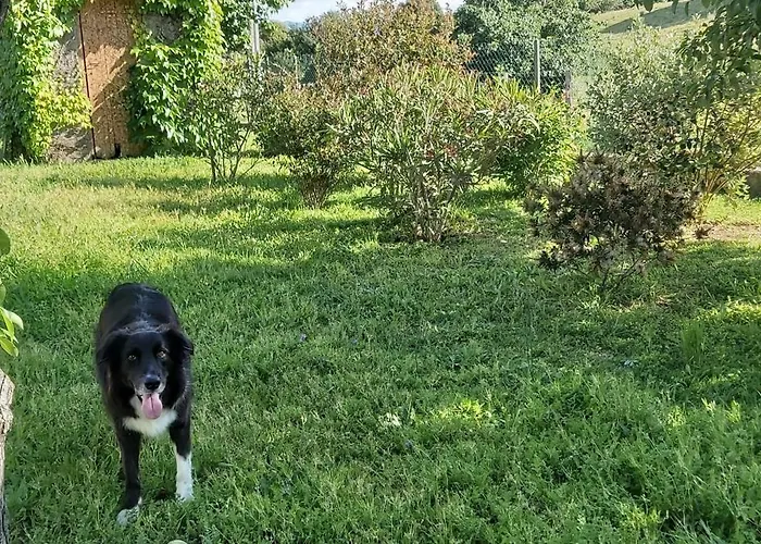 F2 Les Figuiers Proche Ajaccio Appartamento