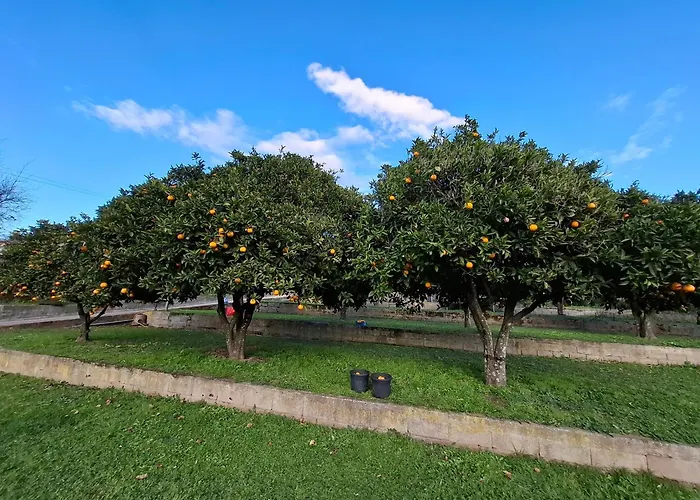 F2 Les Figuiers Proche Ajaccio * Sarrola-Carcopino