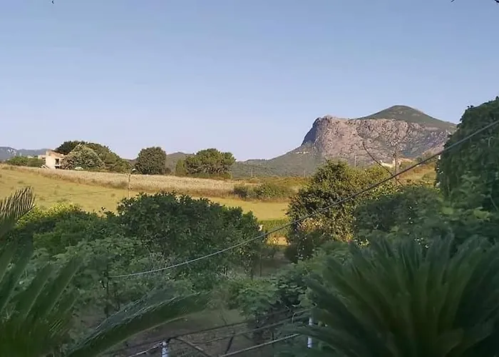 F2 Les Figuiers Proche Ajaccio Appartamento Sarrola-Carcopino